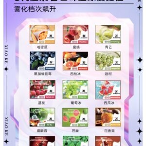 XIAOKE 可替換式電子煙 (適用 RELX6代)